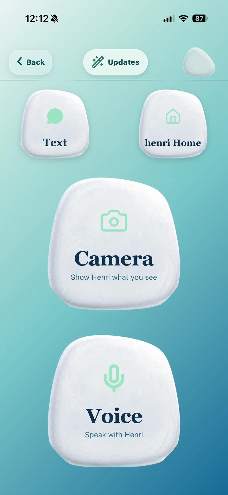Henri home screen: two large stone-shaped buttons, Camera and Voice, with Text and henri Home above